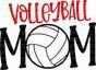 Volleyball Mom (Direct To Film)