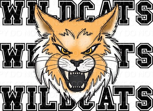 Wildcats Mascot with Wildcats Name (Direct To Film)