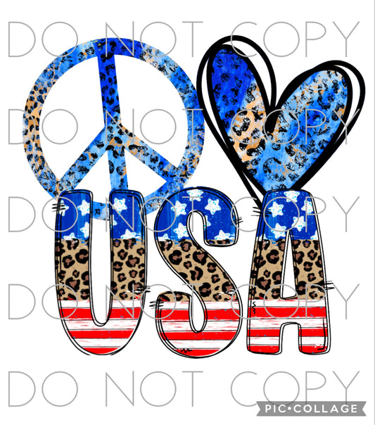 Peace Love USA (Direct To Film)