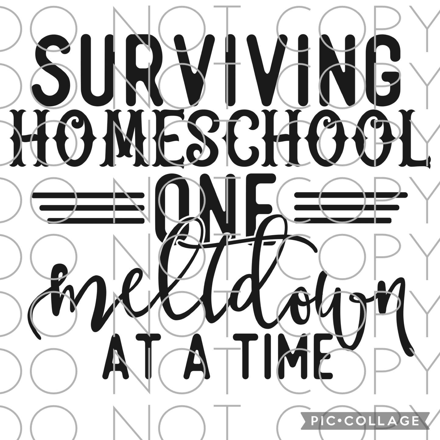 Surviving Homeschool one meltdown at a time Single Color (Adult)