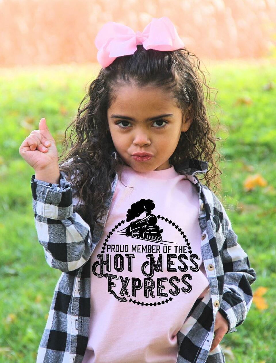 Proud Member of the Hot Mess Express Single Color(Adult or Youth)